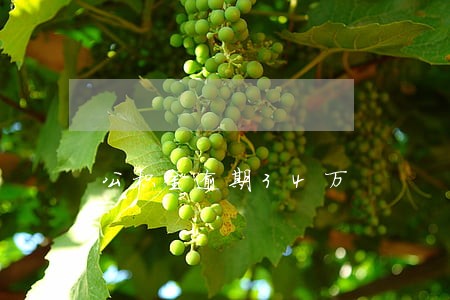 公积金逾期34万 公积金逾期34万