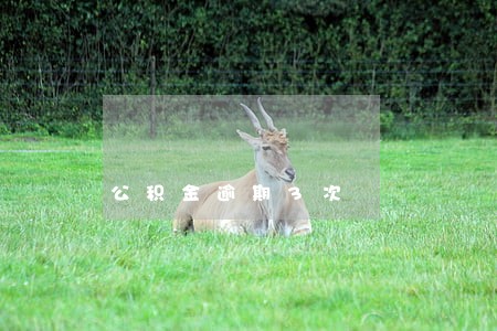 公积金逾期3次 公积金逾期3次