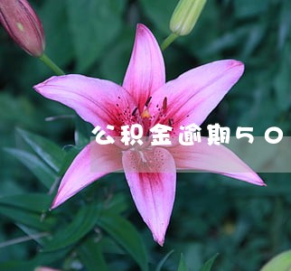 公积金逾期50块钱 公积金逾期50块钱