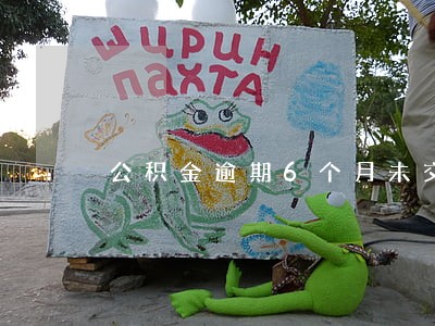 公积金逾期6个月未交