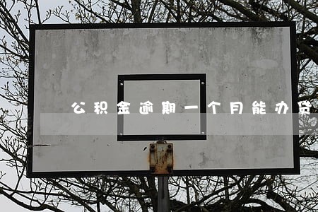 公积金逾期一个月能办贷款吗 公积金逾期一个月能办贷款吗