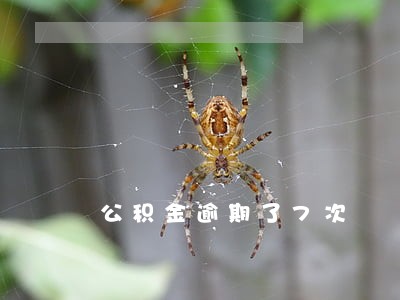 公积金逾期了7次