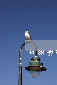 公积金逾期会不会影响信用记录 公积金逾期会不会影响信用记录