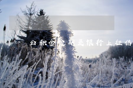 公积金逾期是银行上征信吗 公积金逾期是银行上征信吗