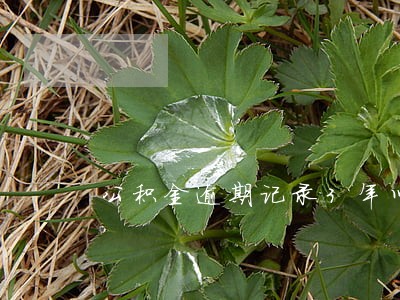 公积金逾期记录3年以上可以用吗