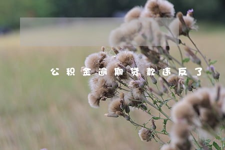公积金逾期贷款违反了 公积金逾期贷款违反了