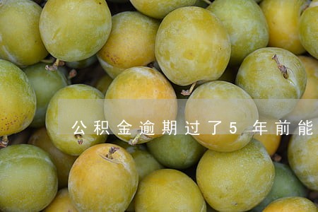 公积金逾期过了5年前能贷款吗 公积金逾期过了5年前能贷款吗