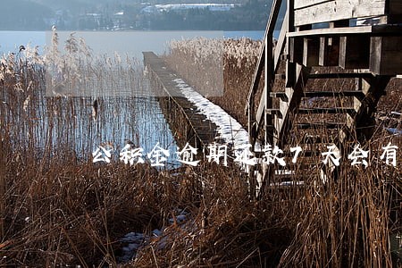 公积金逾期还款7天会有什么后果 公积金逾期还款7天会有什么后果