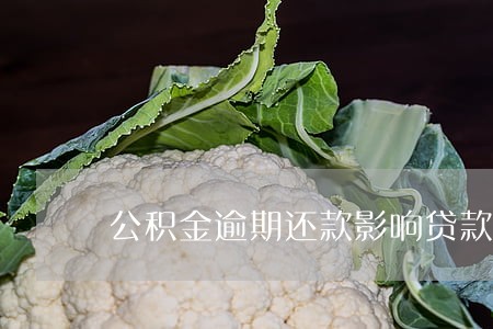 公积金逾期还款影响贷款吗