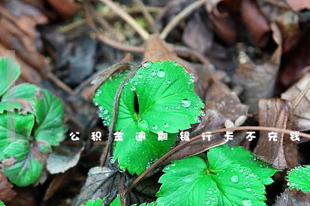 公积金逾期银行卡不充钱了 公积金逾期银行卡不充钱了