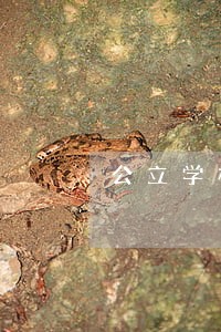 公立学校自己周末补课违法吗 公立学校自己周末补课违法吗