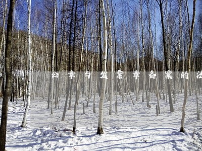 公章与发票章备案的法律条文 公章与发票章备案的法律条文