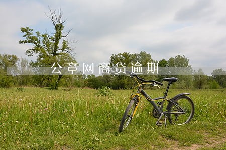 公章网商贷逾期 公章网商贷逾期