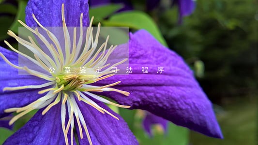 公章鉴定司法程序 公章鉴定司法程序