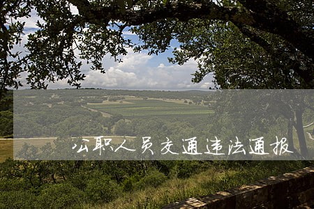 公职人员交通违法通报 公职人员交通违法通报