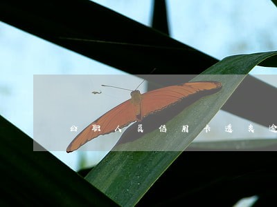 公职人员信用卡透支逾期