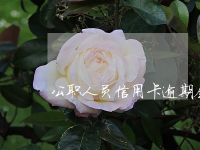 公职人员信用卡逾期会怎么样