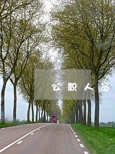 公职人员有两个以上违法的如何处分