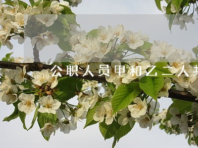 公职人员甲和乙二人共同违法 公职人员甲和乙二人共同违法