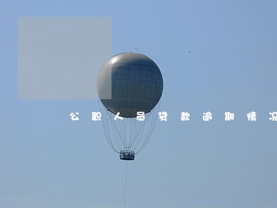 公职人员贷款逾期情况说明 公职人员贷款逾期情况说明
