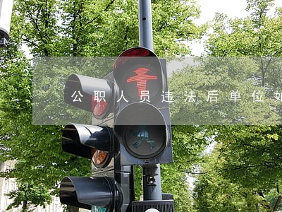公职人员违法后单位如何处理 公职人员违法后单位如何处理