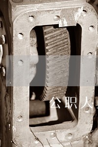 公职人员违纪违法自纠自查报告