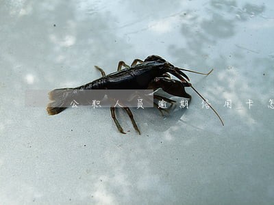 公职人员逾期信用卡怎么举报