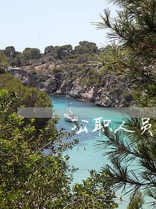 公职人员逾期贷款清收