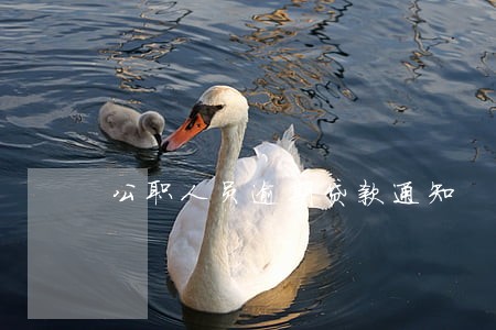公职人员逾期贷款通知