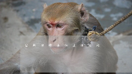 公职律师兼任法律顾问 公职律师兼任法律顾问