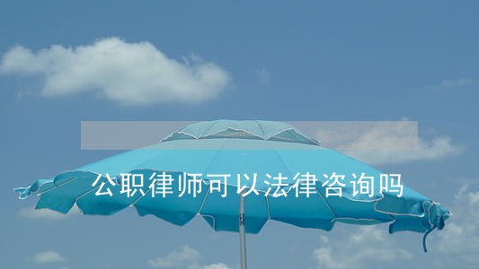 公职律师可以法律咨询吗 公职律师可以法律咨询吗