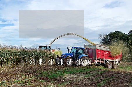 公职律师法律顾问区别 公职律师法律顾问区别