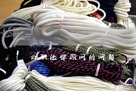 公职法律顾问的问题 公职法律顾问的问题