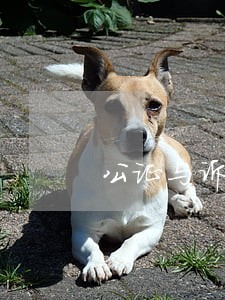 公证与诉讼的关联 公证与诉讼的关联