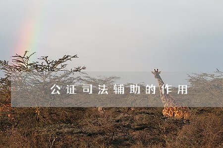 公证司法辅助的作用 公证司法辅助的作用