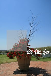 公证和法律援助的关系
