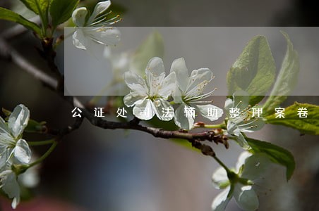 公证处司法辅助整理案卷吗 公证处司法辅助整理案卷吗