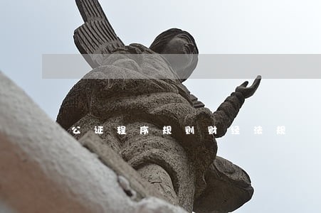 公证程序规则财经法规