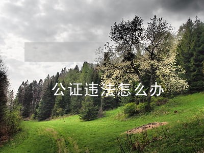 公证违法怎么办 公证违法怎么办