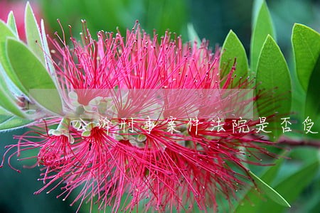 公诉刑事案件法院是否受理 公诉刑事案件法院是否受理