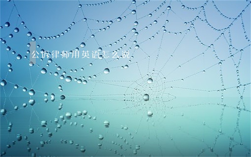 公诉律师用英语怎么说