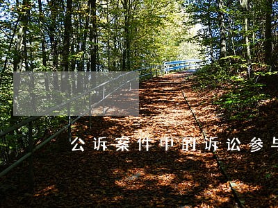 公诉案件中的诉讼参与人有 公诉案件中的诉讼参与人有