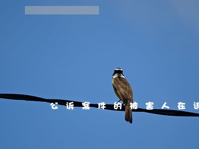 公诉案件的被害人在诉讼中不享有