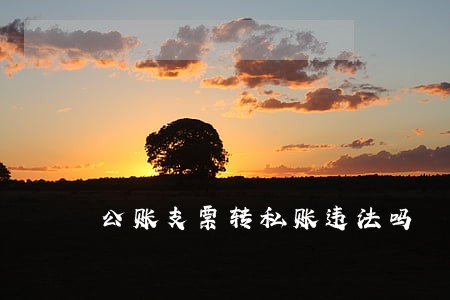 公账支票转私账违法吗
