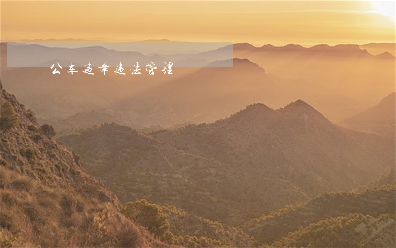 公车违章违法管理 公车违章违法管理
