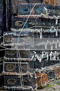 六万信用卡逾期三年是多少 六万信用卡逾期三年是多少