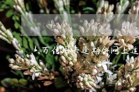 六万信用卡逾期会网上追逃吗
