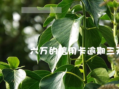 六万的信用卡逾期三天多扣多少钱