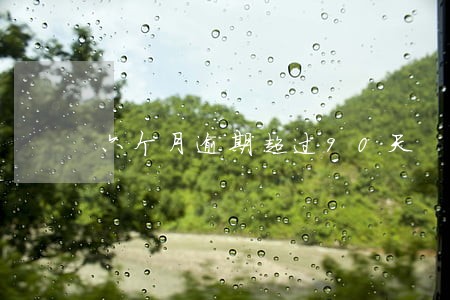六个月逾期超过90天 六个月逾期超过90天