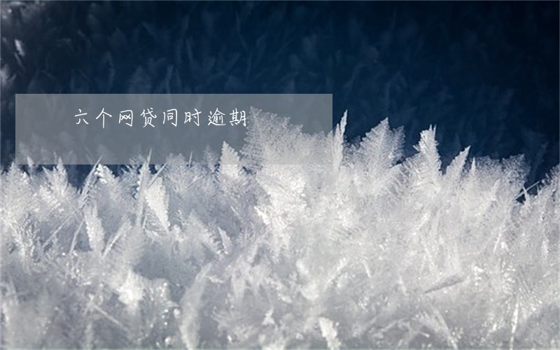 六个网贷同时逾期 六个网贷同时逾期